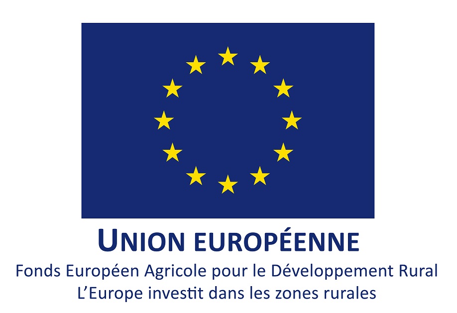 Description de l'image