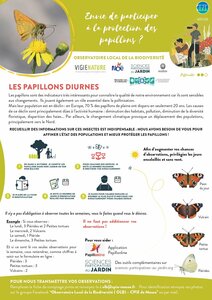 OBSERVATOIRE LOCAL DE LA BIODIVERSITE : Suivi des papillons